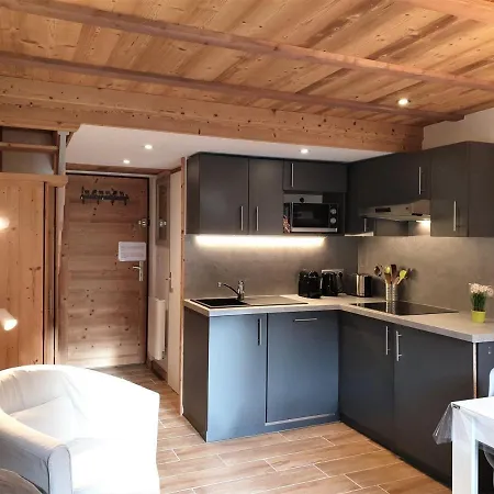 Renove, 4 Pers, Pied Des Pistes De Nyon, Morzine, Parking, Wifi Et Animaux Acceptes - Fr-1-754-48 Apartment Morzine