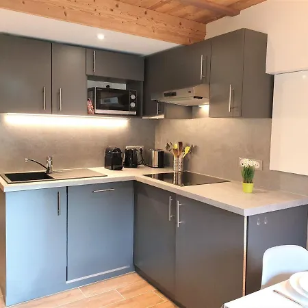 Renove, 4 Pers, Pied Des Pistes De Nyon, Morzine, Parking, Wifi Et Animaux Acceptes - Fr-1-754-48 Διαμέρισμα